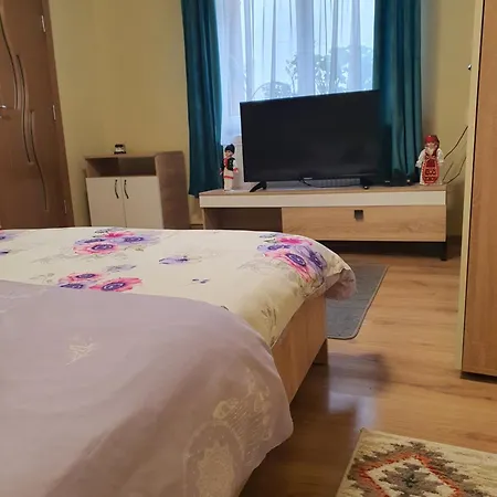 Carissa House Apartment Brasov Exterior photo
