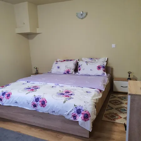 Carissa House Apartment Brasov Exterior photo